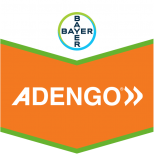 ADENGO SC 465