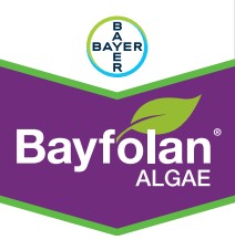 BAYFOLAN ALGAE