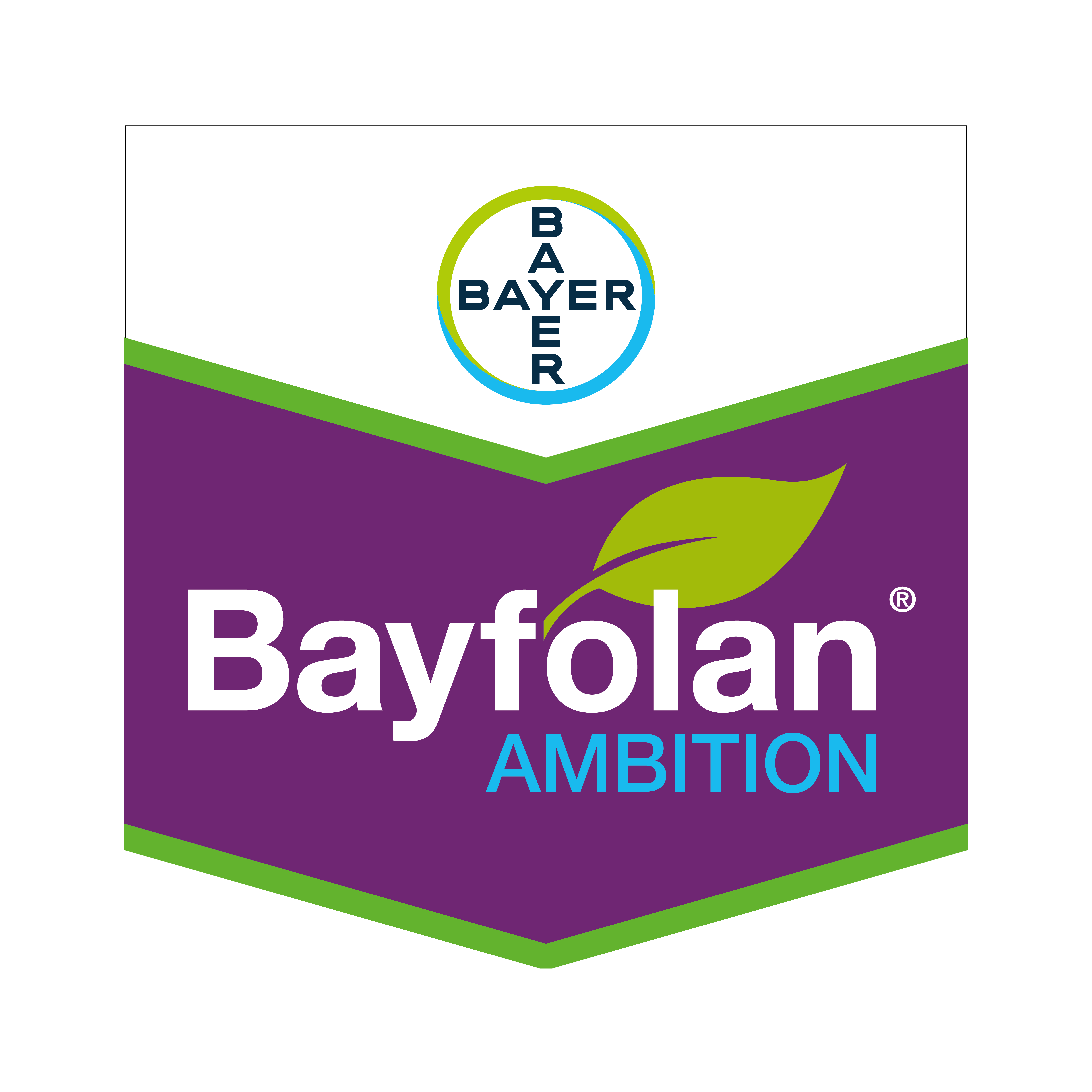 BAYFOLAN AMBITION