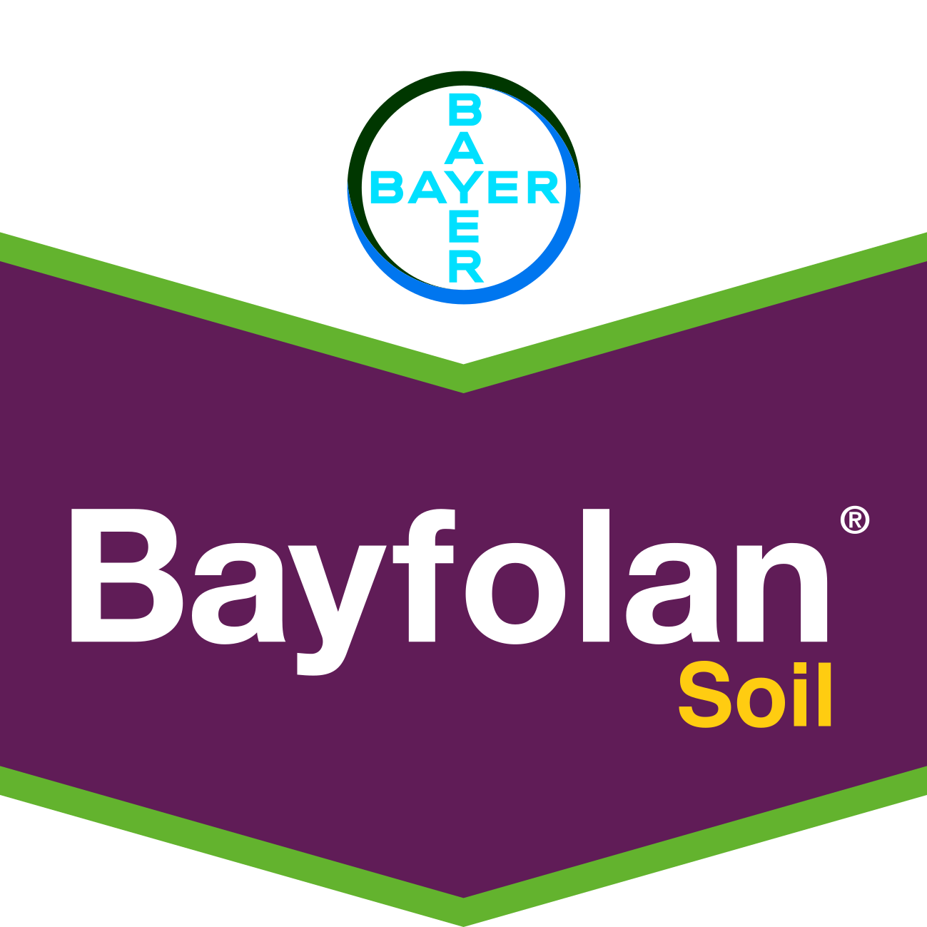 BAYFOLAN SOIL