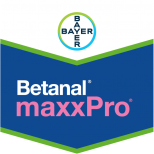BETANAL MAXXPRO 209 OD