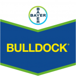 BULLDOCK 125 SC