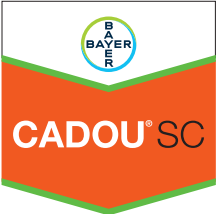 CADOU