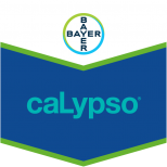 CALYPSO 480 SC