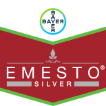 EMESTO SILVER FS