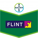 FLINT 50% WG