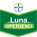 LUNA EXPERIENCE 400 SC