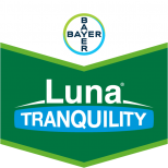 LUNA TRANQUILITY SC500