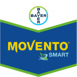 MOVENTO SMART 240 SC