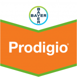 PRODIGIO 600 SC