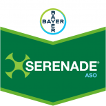 SERENADE ASO SC