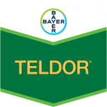 TELDOR 50% WP