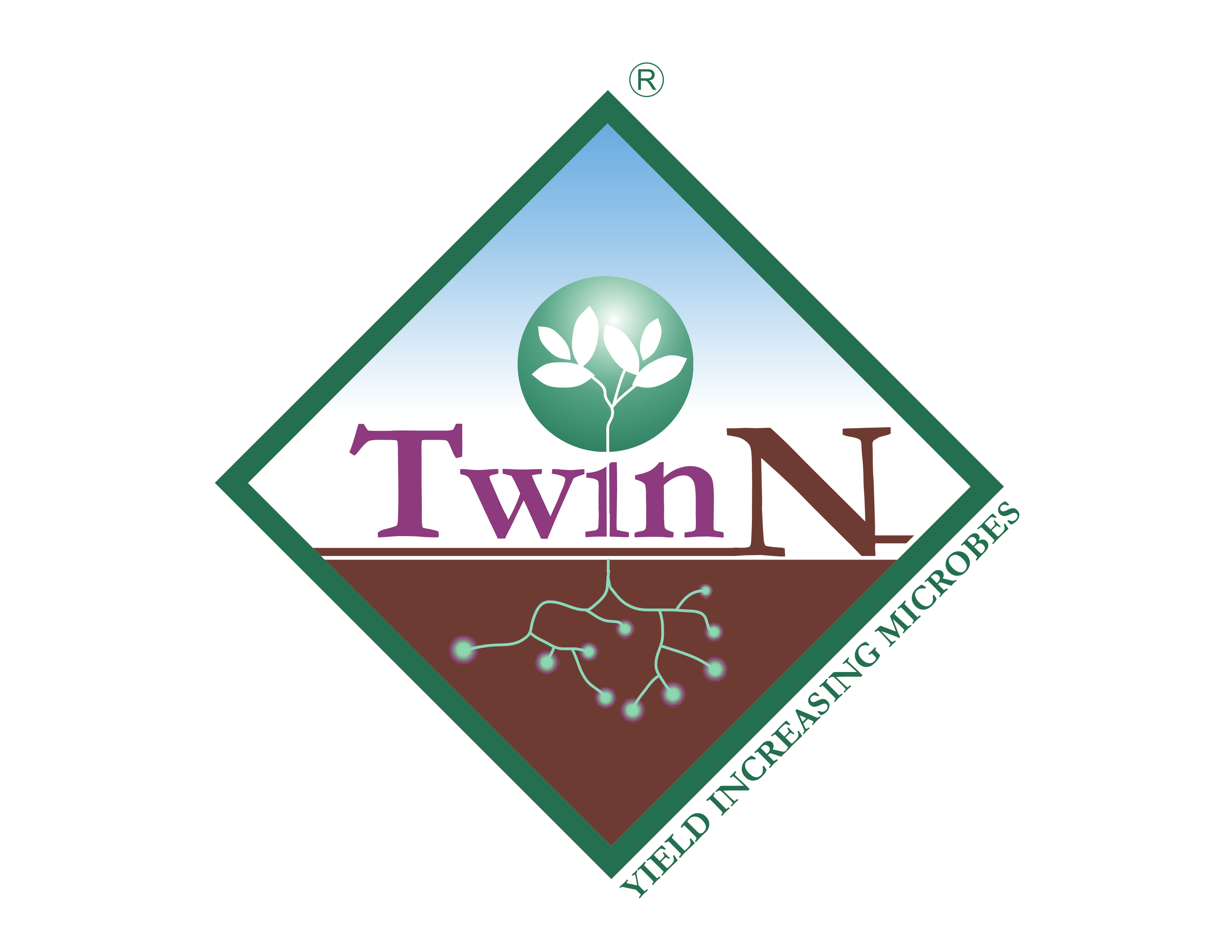 TWIN N HA FRUTA