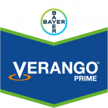 VERANGO PRIME SC 500